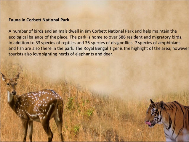 jim corbett ebook download Ebook download corbett jim
